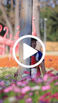 BIB:  <button type="button" onclick="openModal(27588511)" class="btn btn-primary btn-sm float-right" data-toggle="modal" data-target=".modal-high-quality">
                <i class="fa fa-download"></i> Download
                </button>